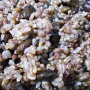 차경농장 이미지