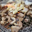 기장산곰장어 이미지