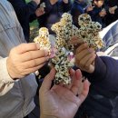 춘향테마파크 이미지