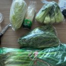 농수산물도매시장 | 천안 농수산물도매시장 쭈꾸미 새조개 후기｜제철 알쭈꾸미 제대로 먹은 날