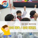 영종하늘태권도장 이미지