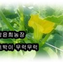 윤희농장 이미지