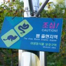 노을공원가로수길 이미지