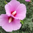 자연공인중개사사무소 이미지