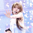 그림처럼 스타뉴스