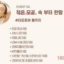 시즈의원 이미지