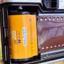 The Pen | [필름이야기] 독일 디엠 파라다이스200(Dm Paradies 200_35mm) 필름 테스트 후기