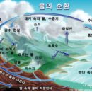 신자진