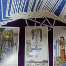 속마음 타로…대선 불출마를 공식 선언한 국민의 힘 유승민 전 의원 이미지