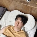 주식회사 편한가 | 남편 거북목 때문에 찾게 된 메모리폼베개 라인업베개 후기