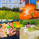 원희상회 | 제주도 서귀포 가볼만한곳 제주 서쪽 동쪽 여행코스 관광지