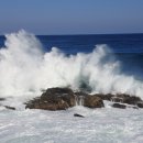 푸른파도 이미지