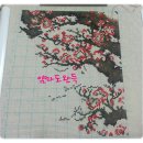 Apricot Tree in Nobility - 06 이미지