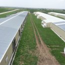 김준농장 이미지