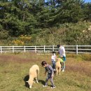 높은터목장 이미지