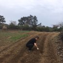 월령리사무소 이미지