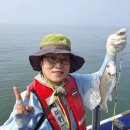 충남 귀어귀촌 바다 만나봐 무창포 생생 체험후기
