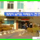 와룡리목장 Daum카페