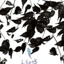 나무아래 이미지