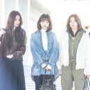 르세라핌 카카오 검색결과