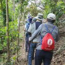 통영 장사도, 매물도, 소매물도 탐방기 이미지