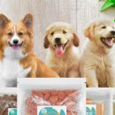 견생맛스토어 이미지