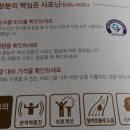 천지양 <맹모홍삼지교> 젤리진 체험 후기~