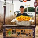 별똥밭
