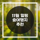 (주)카옥션 이미지