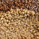 김태희청국장 이미지