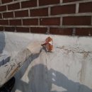 수성마을회관 이미지