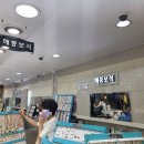 해중보석 네이버블로그