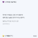 발랄하다 / 빌주꼬 이미지