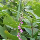 섬진강한의원 이미지