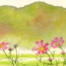 오늘은 힐링 이미지