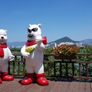 춘천터미널충전소 이미지