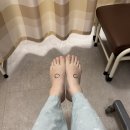 한스약국 | 페럿 집사 자궁근종 시술 받았어요 in 민트병원