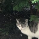 (주)라온아이디 이미지