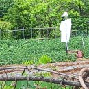 후산 이미지