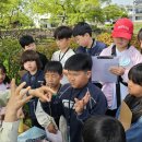 김녕초등학교 이미지