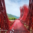 영월Y파크(술샘박물관) 이미지