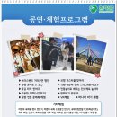 함평군립미술관 | 전남 10월 함평국화축제 가볼만한곳 · 2025 대한민국 국향대전 기본정보 입장료 가수 라인업
