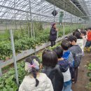 봉정농장 이미지