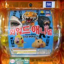 (주)고릴라코리아 이미지