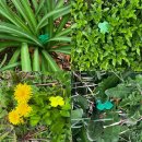 안데르센반 박태하 주말일상 이미지