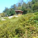 경희쉼터한의원 이미지