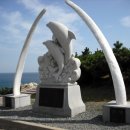 낙타와돌고래 이미지