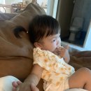 거진SK주유소 이미지