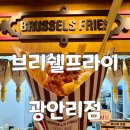 광안로 | 광안리간식 브뤼셀프라이 광안리점 오픈첫날 내돈내산 방문 후기