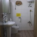 자유민박 이미지